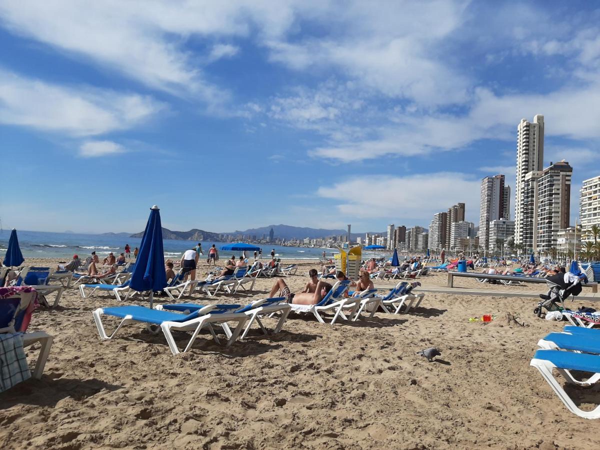 Apartament Moby Dick 1c Benidorm